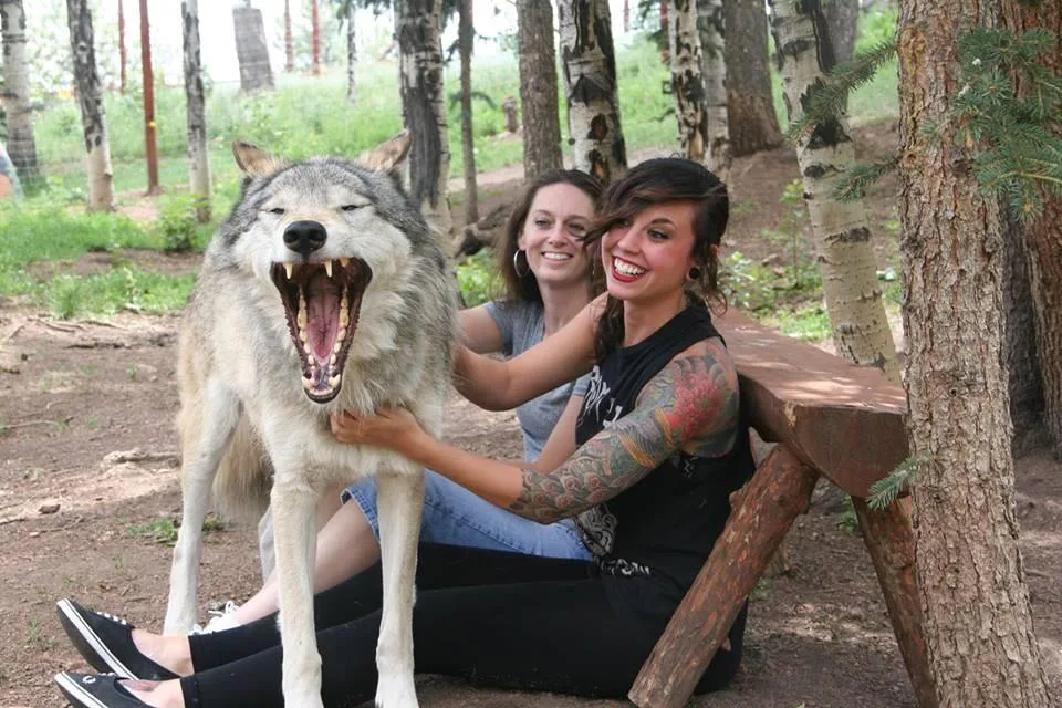 Wolf and Wildlife Center